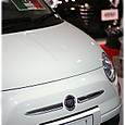 Shirotan2